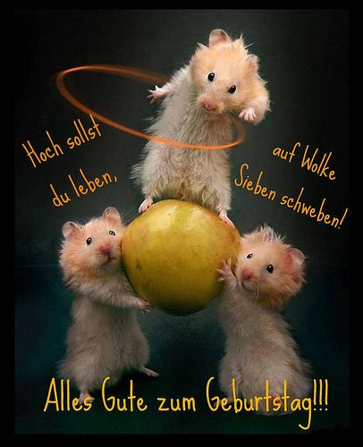 glückwünsche zum hundertsten geburtstag