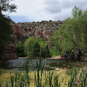 PARSONS TRAIL, MAY 2009