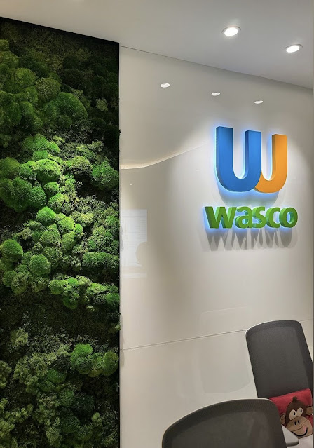 Moss wall/Vertical garden moss Moss wall/Vertical garden moss