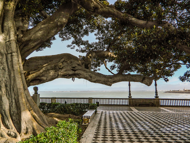 Alameda de Apodaca, Cádiz