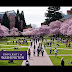 The University of Washington