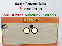 PROMO MENETASKAN TELUR LOVEBIRD DENGAN MESIN PENETAS