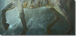 sf_horse_zampe