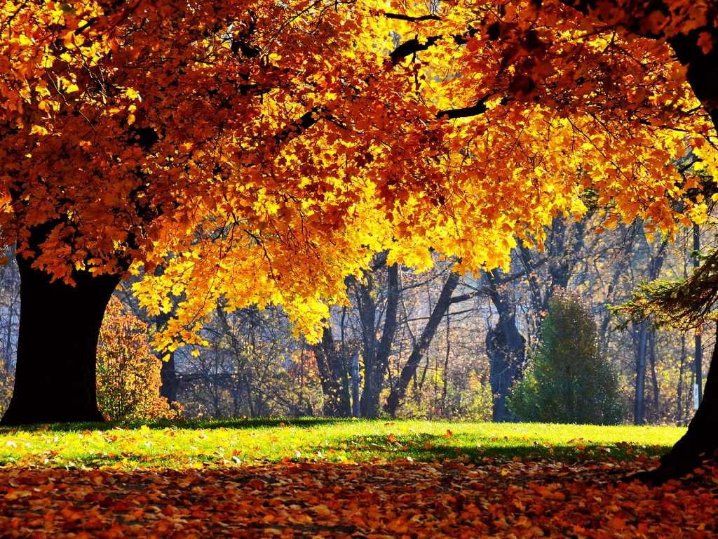 Autumn Season Standard Resolution HD Wallpaper 18