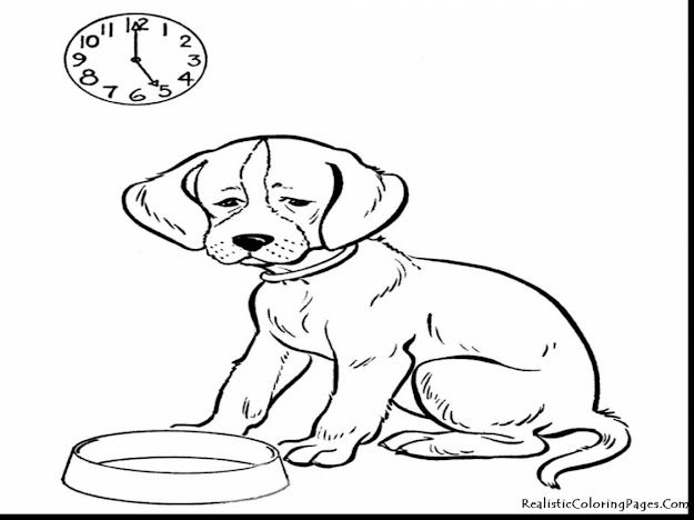 Great Realistic Animal Coloring Pages Dog With Animal Coloring Page And Animal  Coloring Pages For Toddlers