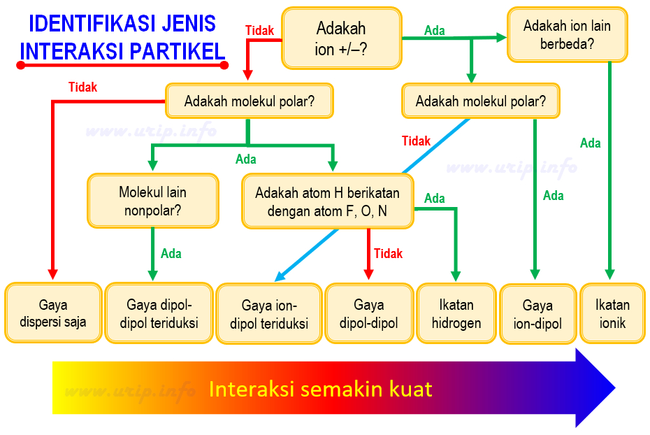 Cara Mengidentifikasi Jenis Gaya Antarmolekul 