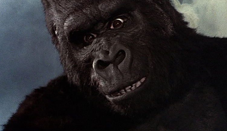Episode Four King Kong 1976 A Great Big Love Story