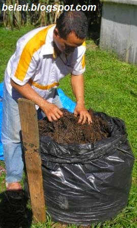  Cara Membuat Pupuk Organik dari Sampah Rumah Tangga