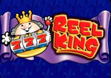 Logo of the Reel King Deluxe slot game