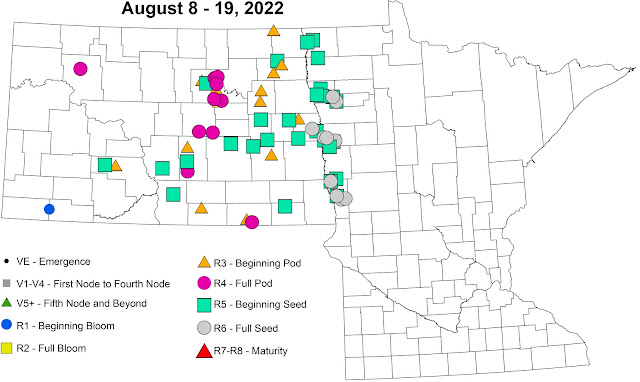 Soybean growth stages observed in northwest Minnesota between August 8 and 19, 2022.