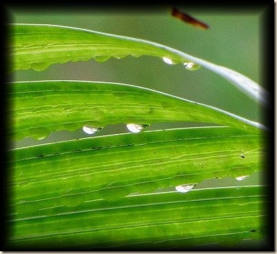 humid[1]