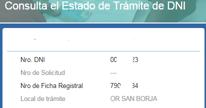 Ver mi dni para imprimir argentina