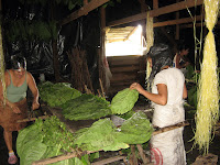Город Эстели - центр табачного производства Никарагуа