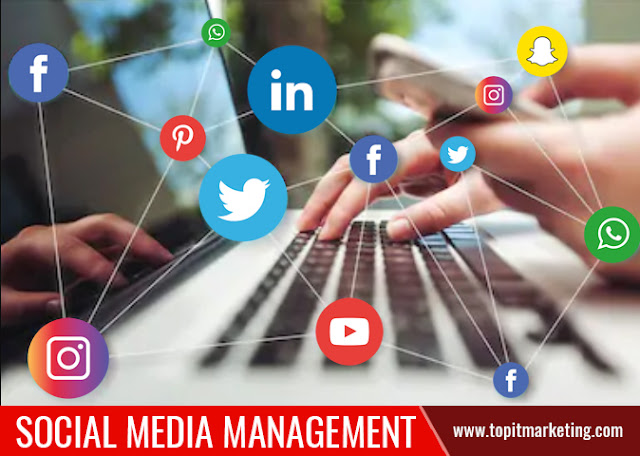 social media management, digital marketing