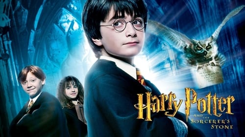 Harry Potter y la piedra filosofal 2001 descargar latino avi