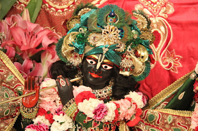 Krishna the supreme god head