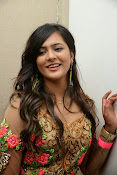 Yamaleela 2 heroine Diah Nicolas Photos-thumbnail-2