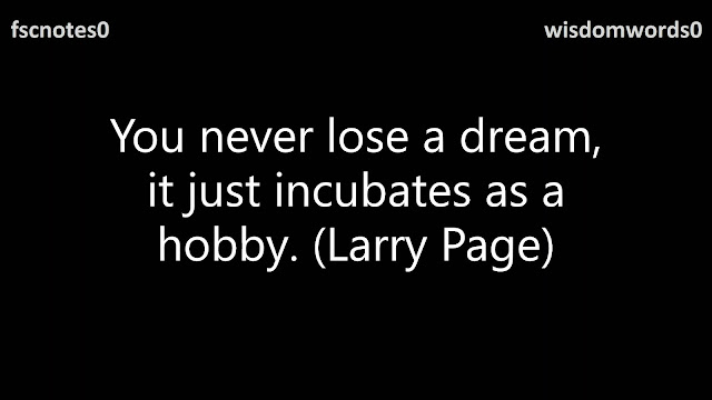 You never lose a dream, it just incubates as a hobby. (Larry Page)