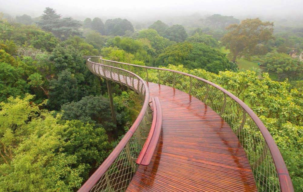 10 Inspirational Botanic Gardens | Kirstenbosch National Botanical Garden, Cape Town, South Africa