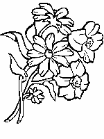 Flor-17