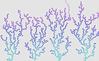 A result of poor man's Diffusion-limited aggregation.