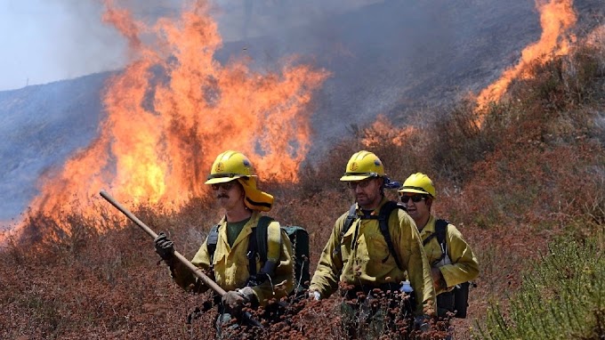 Los Angeles Wildfire More Than 82,000 Flee in California 