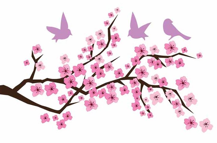 Mewarnai bunga sakura japan yang indah dan menawan