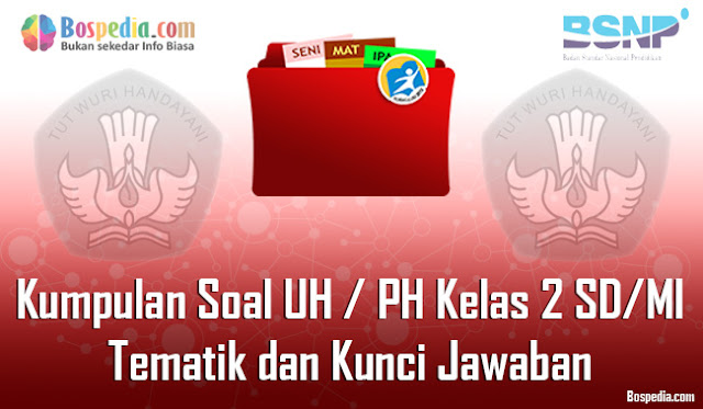 Kumpulan Soal UH / PH Kelas 2 SD/MI Tema 1 Subtema 1, 2, 3, 4 dan Kunci Jawaban