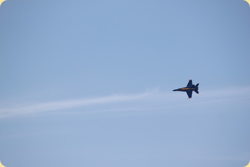 Blue Angels 034