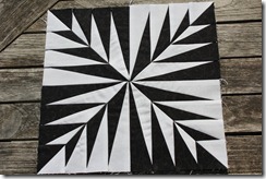 IMG_2234