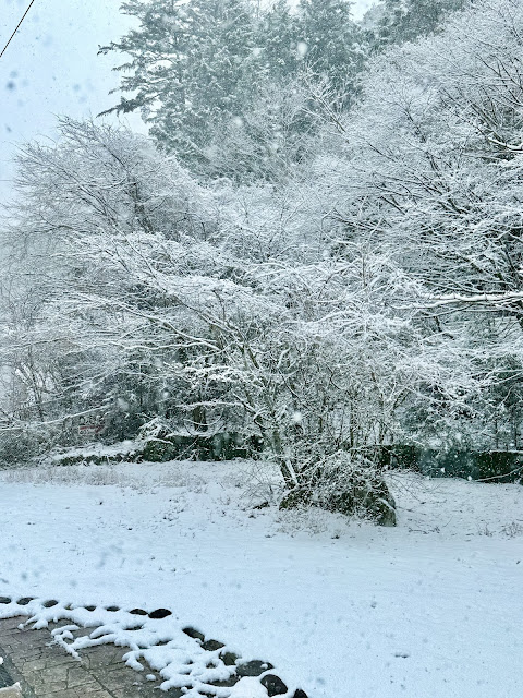 下大雪ing