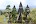 traveling indonesia