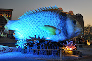 Qatar Marine Festival (qatar marine festival dsc )