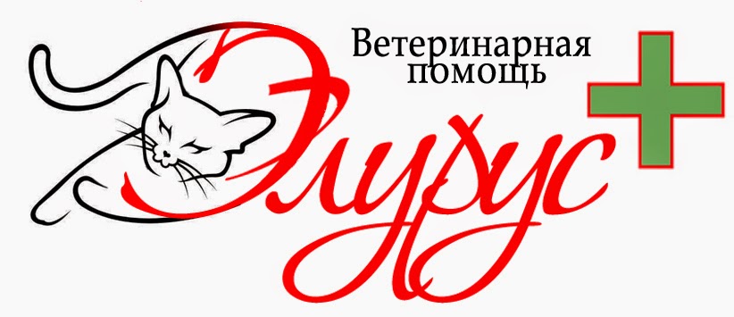 ЭЛУРУС