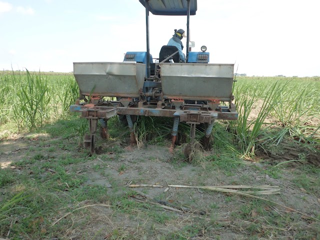 Mekanisasi Pemupukan dengan Fertilizer Applicator