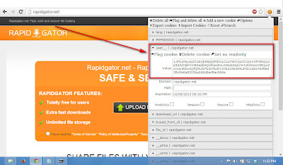 Rapidgator.Net Premium Cookie 29/12/2013