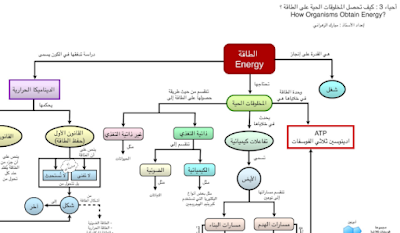 تحميل خرائط الاحياء 2-3 ثاني ثانوي مسارات ف3 1445 pdf