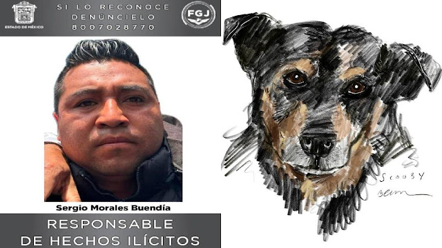 Condenan al asesino del perrito Scooby pagará multa