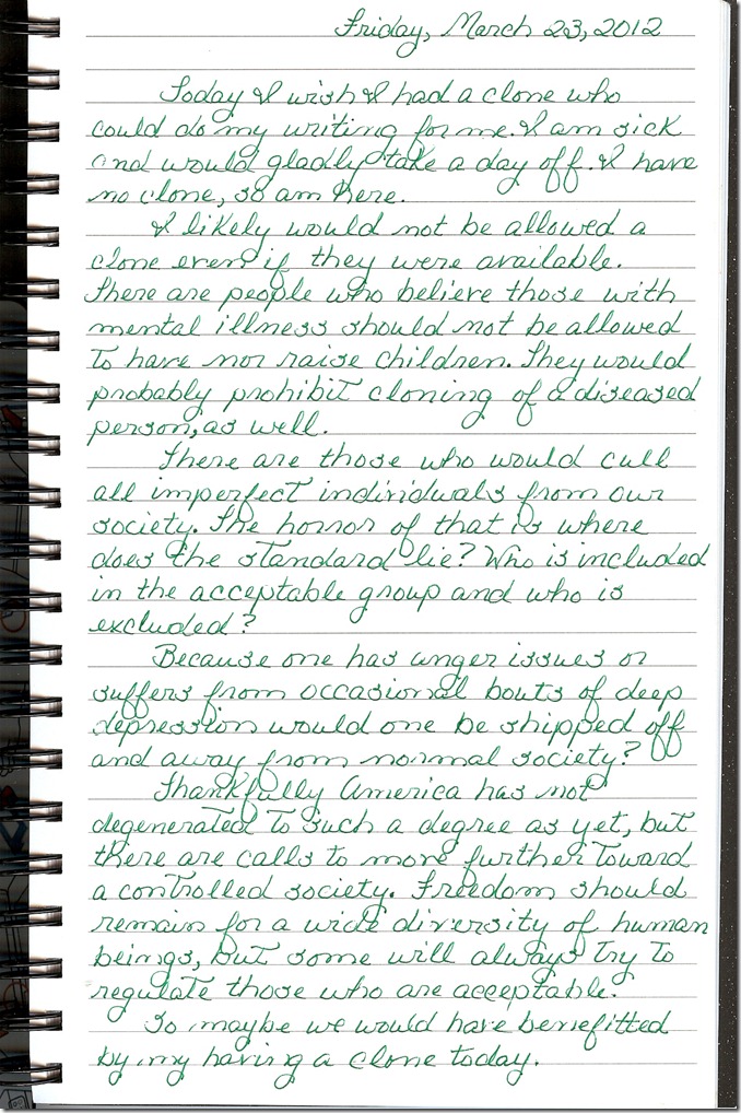 Journal 3-23-20120001