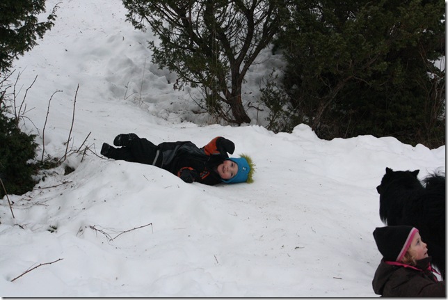 Lapphundtreff Tueneset 2010 118