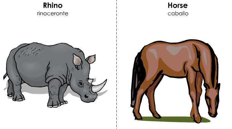 tarjetas ilustradas vocabulario inglés (32)