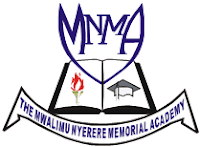 Job Opportunity at Mwalimu Nyerere Memorial Academy
