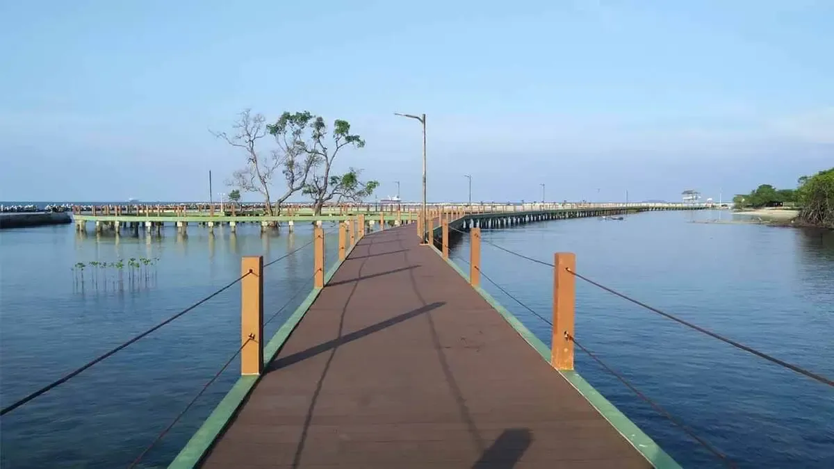 Jembatan Pohon Pengantin