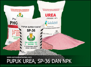 Kebutuhan Pupuk Urea, SP-36 dan NPK sesuai RDKK (Rencana Definitif kebutuhan Kelompok)