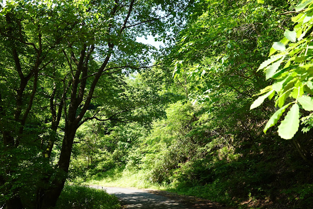 鳥取県西伯郡南部町東上 鎌倉山グリーンライン