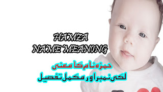 Hamza Name Meaning In Urdu, kids names, name meaning, baby boy names