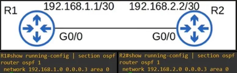 show running-config ospf subnet