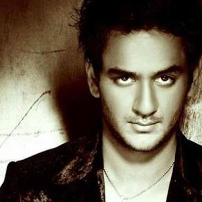 bigg-boss-11-winner-vikas-gupta