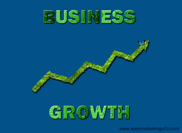 Business Growth 12