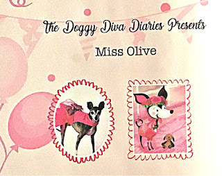 Doggy Diva Diaries  Furever Friends  Miss Olive